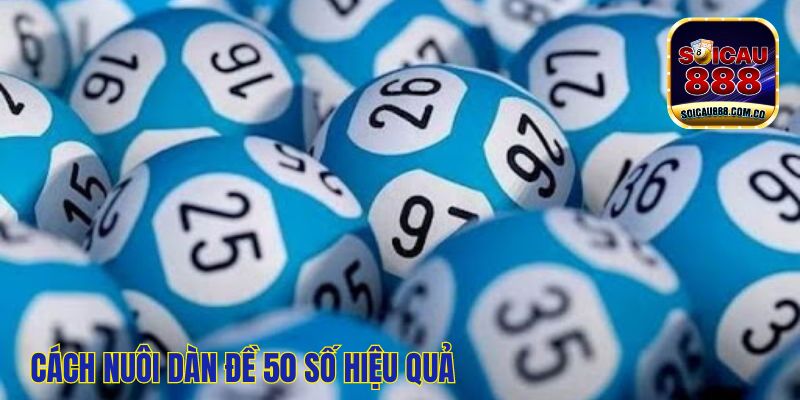 Dàn Đề 50 Số: Siêu Lợi Nhuận, Về Bờ Nhanh 