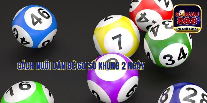 Dàn Đề 60 Số Khung 2 Ngày: Tỷ Lệ Trúng Lên Đến 85%