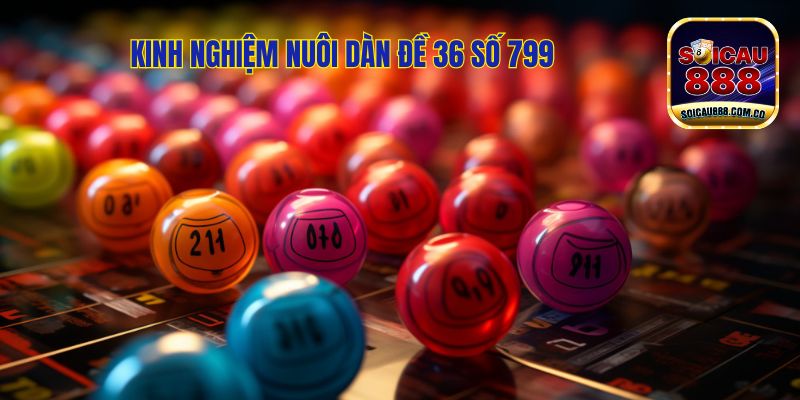 Dàn Đề 36 Số 799: Bí Quyết Nuôi Dàn Đề Hiệu Quả