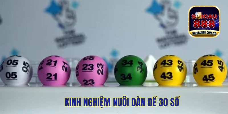 Dàn Đề 30 Số: Kinh Nghiệm Chơi Ngày Nào Cũng Trúng