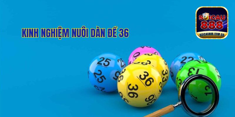 Dàn Đề 36: Cách Nuôi Hiệu Quả Tối Ưu Lợi Nhuận 