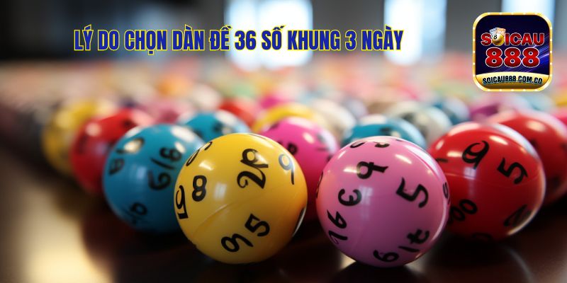 Nuôi Dàn Đề 36 Số Khung 3 Ngày: Đánh Đâu Thắng Đó