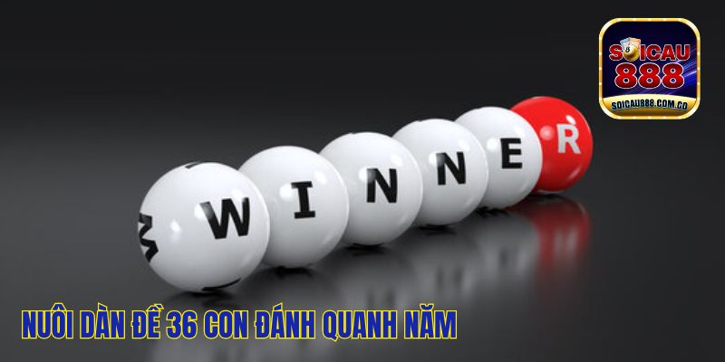 Dàn Đề 36 Con: Nuôi Dàn Đề VIP, Đánh Đâu Thắng Đó