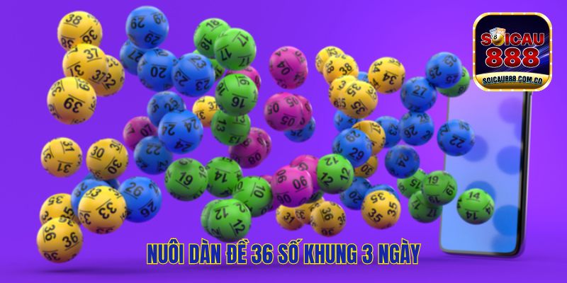 Nuôi Dàn Đề 36 Số Khung 3 Ngày: Đánh Đâu Thắng Đó