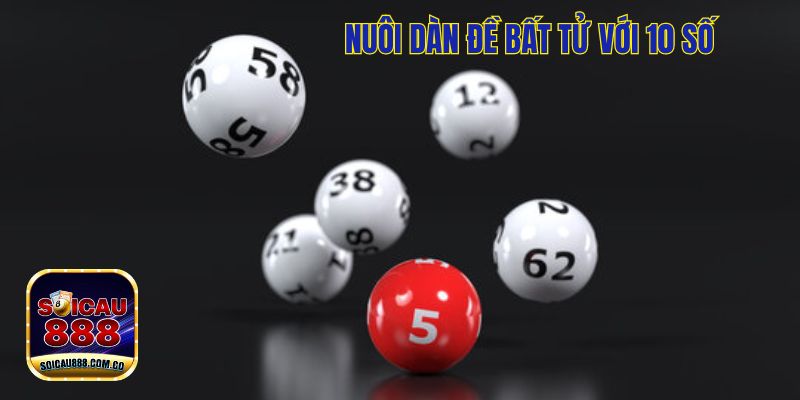 Dàn Đề Bất Tử: Chơi Lô Đề Thắng Quanh Năm 