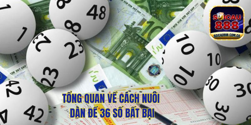 Dàn Đề 36: Cách Nuôi Hiệu Quả Tối Ưu Lợi Nhuận 