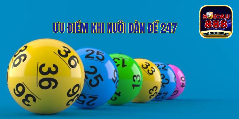 Dàn Đề 247: Nuôi Bộ Số Đẹp, Hốt Bạc Tỷ Về Túi 