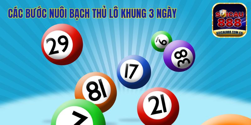 Nuôi Bạch Thủ Lô Khung 3 Ngày Giúp Đề Thủ Trúng Lớn 