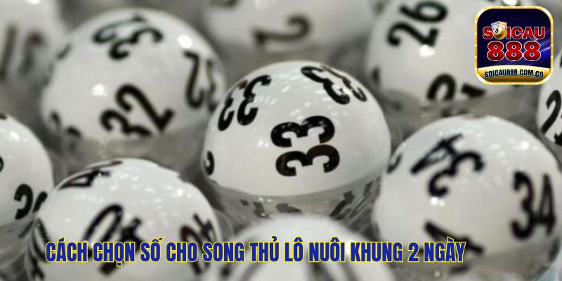 Song Thủ Lô Nuôi Khung 2 Ngày:  Chinh Phục Lô Đề Hiệu Quả