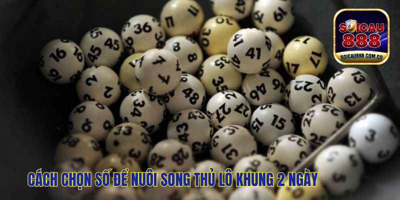 Song Thủ Lô Khung 2 Ngày, Cách Đánh Bất Bại Miễn Phí  