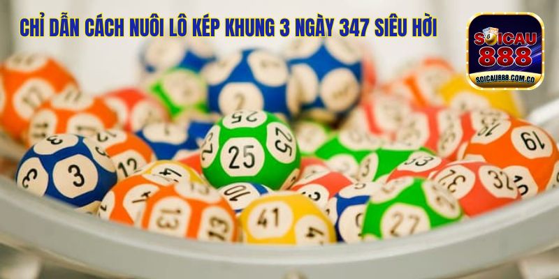 Lô Kép Khung 3 Ngày 247 - Soi Cầu Đẹp, Nhận Thưởng Lớn