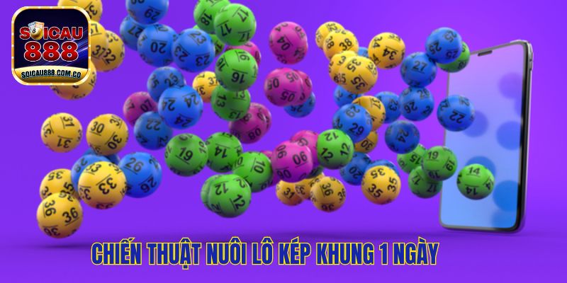 Lô Kép Khung 1 Ngày: Kinh Nghiệm Nuôi Lô Hiệu Quả 