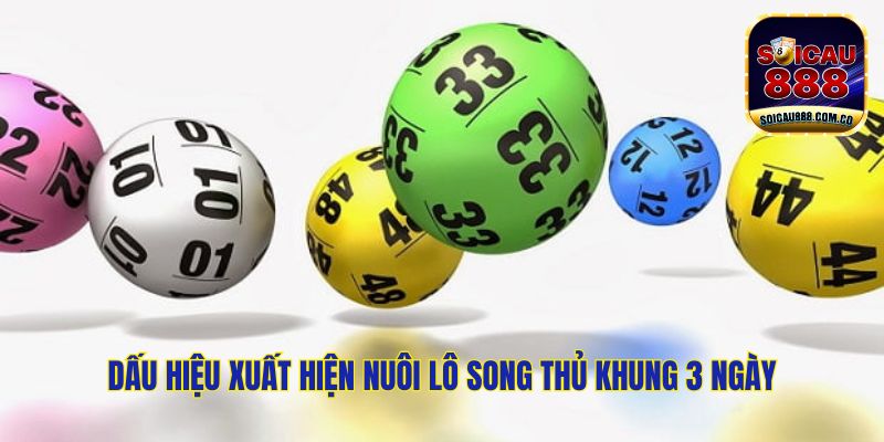 Thông Tin Nuôi Lô Song Thủ Khung 3 Ngày Hiệu Quả 100%