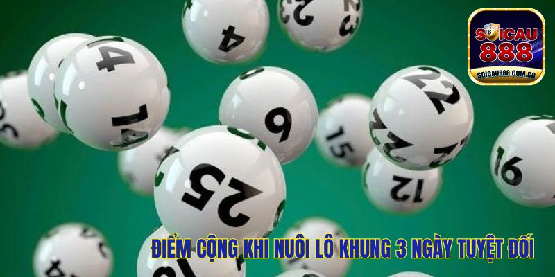 Nuôi Lô Khung 3 Ngày Tuyệt Đối Chính Xác 100% Cho Đề Thủ