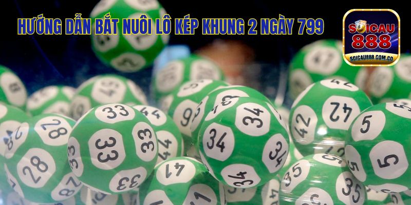 Nuôi Lô Kép Khung 2 Ngày 799 Bao Trúng, Săn Thưởng To 