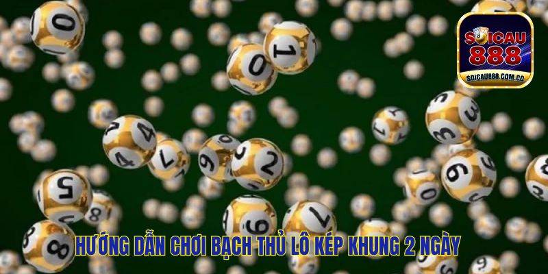 Bạch Thủ Lô Kép Khung 2 Ngày - Đẳng Cấp Soi Cầu Chuẩn 