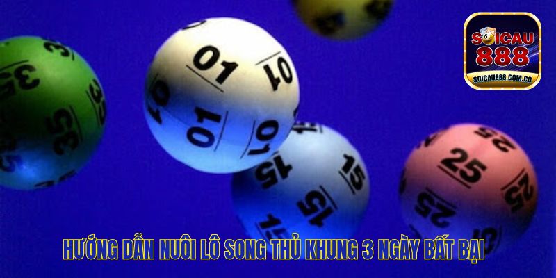 Thông Tin Nuôi Lô Song Thủ Khung 3 Ngày Hiệu Quả 100%