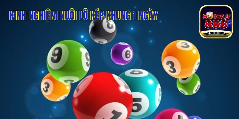 Lô Kép Khung 1 Ngày: Kinh Nghiệm Nuôi Lô Hiệu Quả 