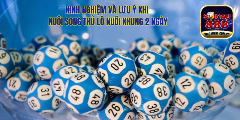 Song Thủ Lô Nuôi Khung 2 Ngày:  Chinh Phục Lô Đề Hiệu Quả