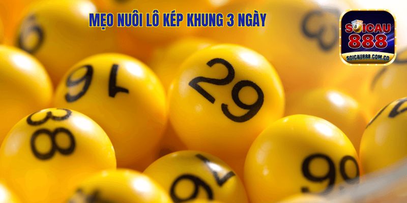 Mẹo Nuôi Lô Kép Khung 3 Ngày Đánh Đâu Thắng Đó 