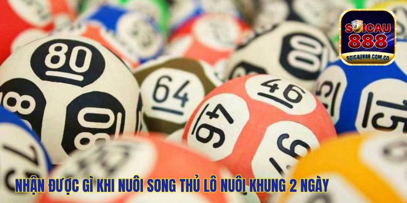 Song Thủ Lô Nuôi Khung 2 Ngày:  Chinh Phục Lô Đề Hiệu Quả