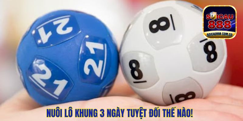 Nuôi Lô Khung 3 Ngày Tuyệt Đối Chính Xác 100% Cho Đề Thủ