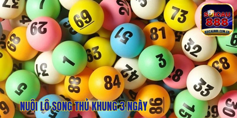 Thông Tin Nuôi Lô Song Thủ Khung 3 Ngày Hiệu Quả 100%