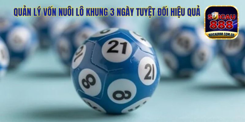 Nuôi Lô Khung 3 Ngày Tuyệt Đối Chính Xác 100% Cho Đề Thủ