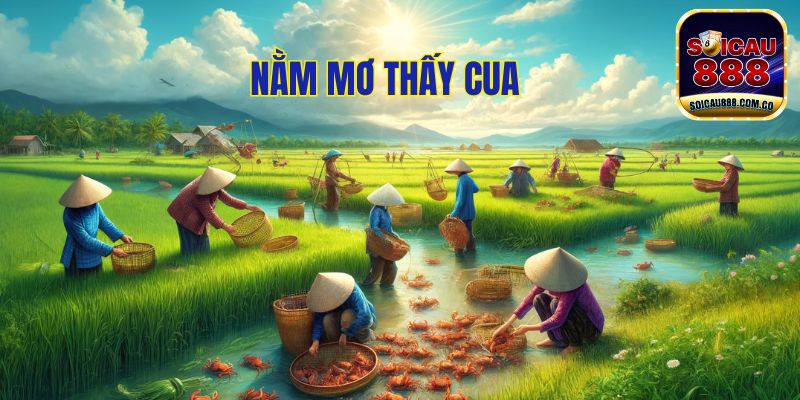 Nằm Mơ Thấy Cua? Đánh Số Gì May Mắn Và Tâm Linh