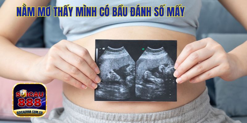 Nằm Mơ Thấy Mình Có Bầu Đánh Số Mấy Trúng Số Đổi Đời