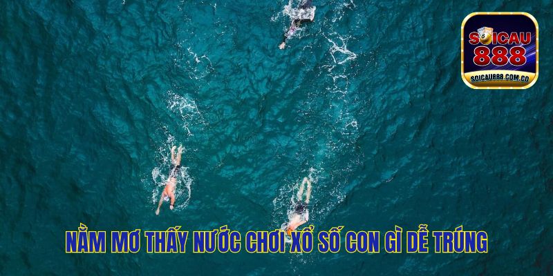 Nằm Mơ Thấy Nước Và Những Thông Điệp Cần Biết 