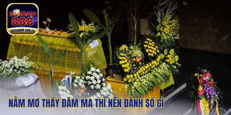 Nằm Mơ Thấy Đám Ma - Dự Báo Gì Trong Tương Lai